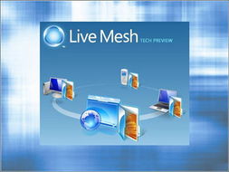 2009年微軟必做十件大事 電子商務居首，信息系統集成服務位列前茅