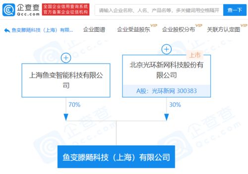 光環新網攜手成立科技新公司，聚焦軟件開發領域